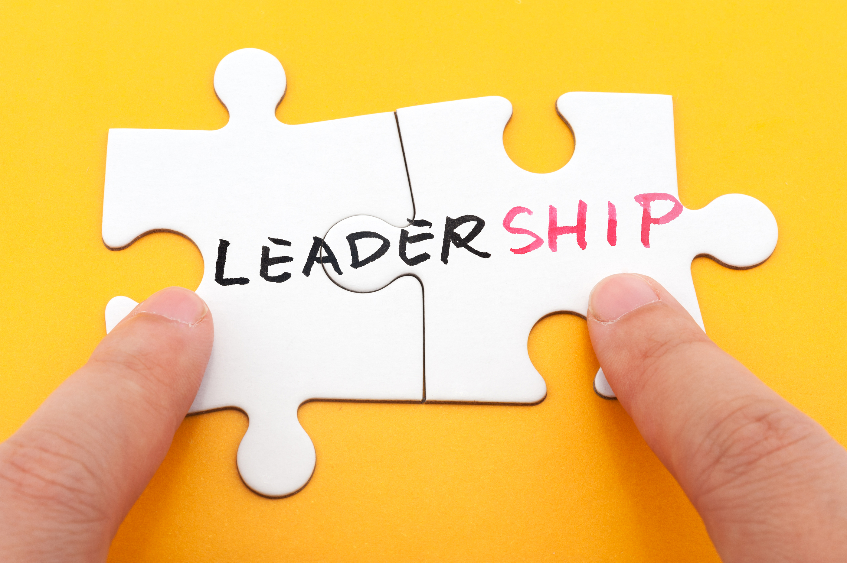 leadership leaders concept